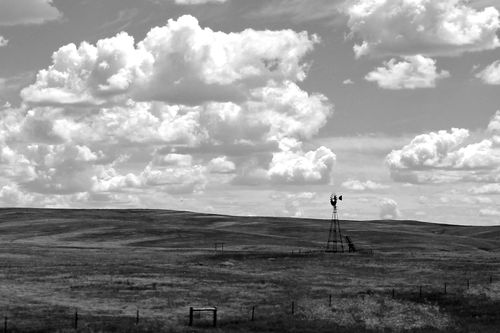 Wide open pasture ground with fluffy clouds and an old style windmill sitting in the middle.