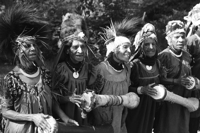 A group of women from Papua New Guinea playing drums in a celebration.