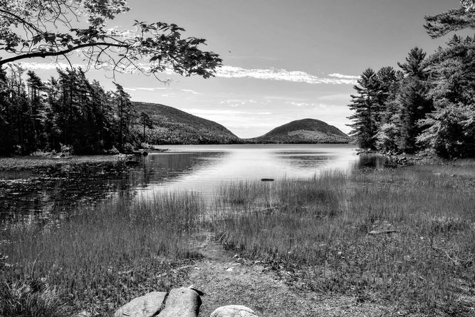 Picture of lake with reeds in the water in the foreground and mountains in the background.