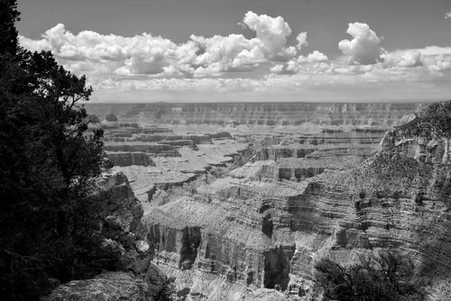 View of the Grand Canyon from the North Rim's Bright Angel Point.