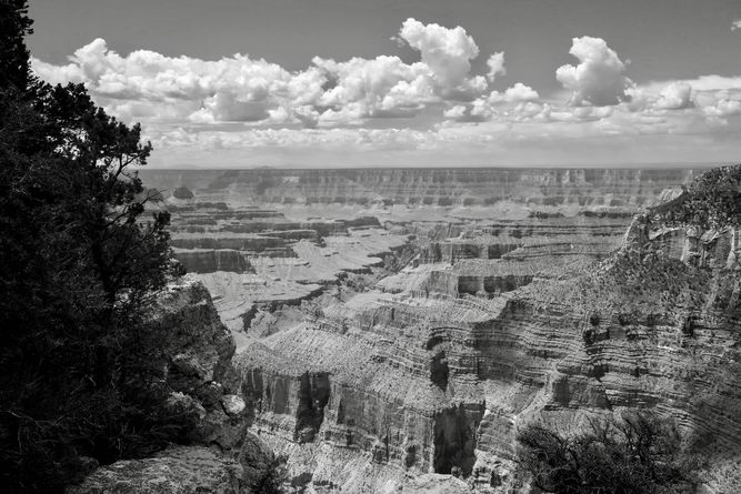 View of the Grand Canyon from the North Rim's Bright Angel Point.