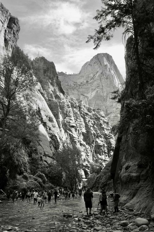 The Narrows at Zion National Park