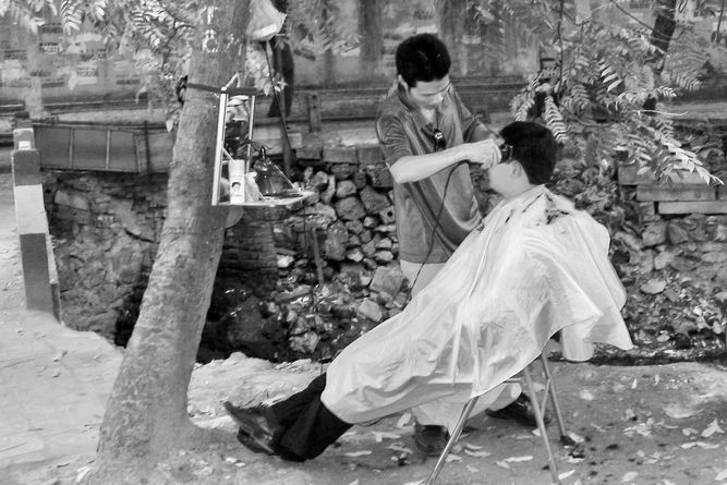 A barber working on the street, mirror strapped to a nearby tree.