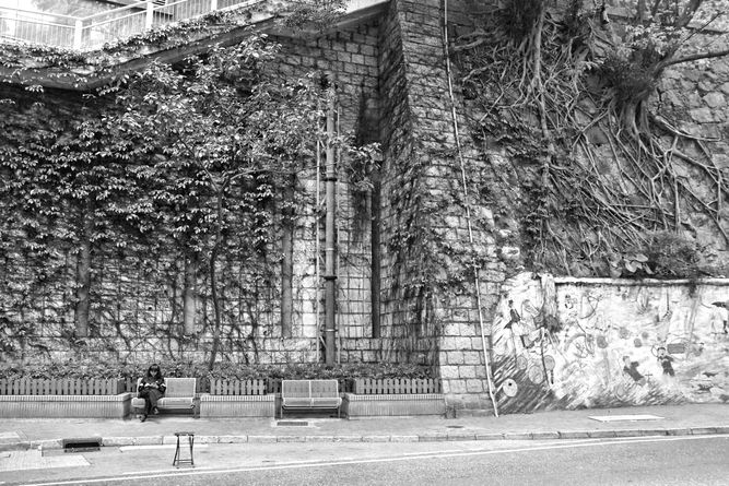 A woman waiting at a bus stop in front of a stone wall with vines and trees growing from it.